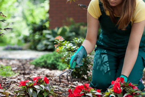 Person using a screen reader to access garden maintenance information