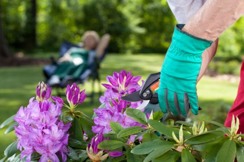Trained gardener using PPE while operating a mechanical mower